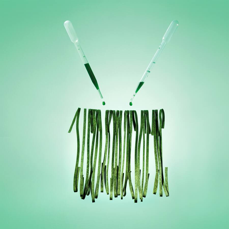 Alternative Proteine: Pasta aus Algen