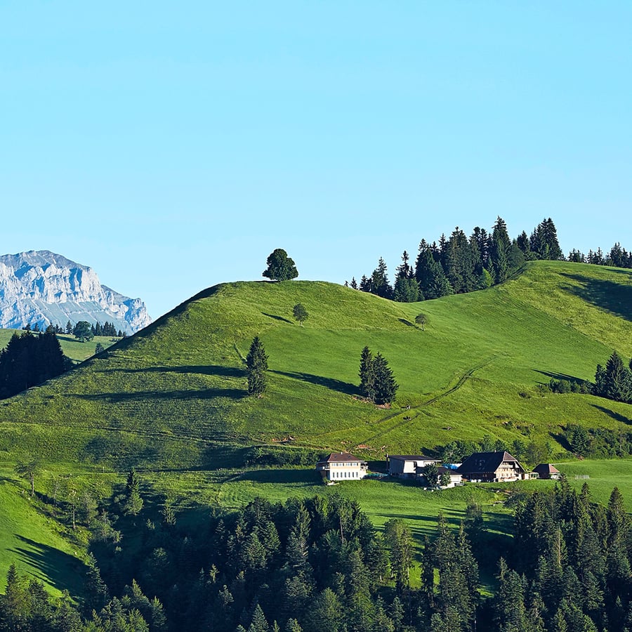 Auf dem Bödeli mit der Linde liegt der Vermessungspunkt 1138.