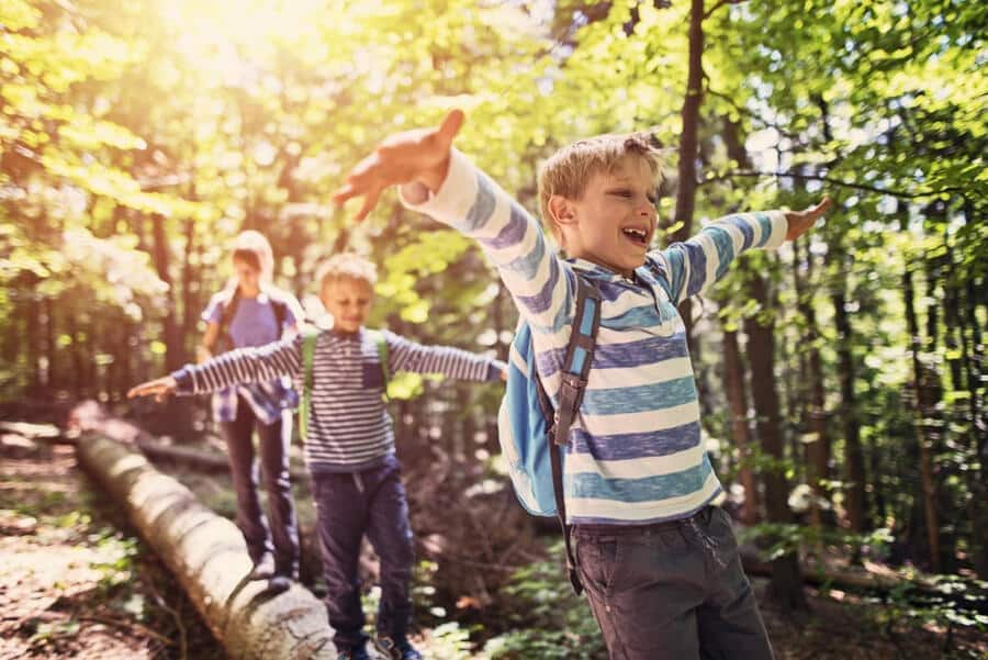 <p>Spielzone Wald: Hier ist die Ozonbelastung besonders gering.</p>