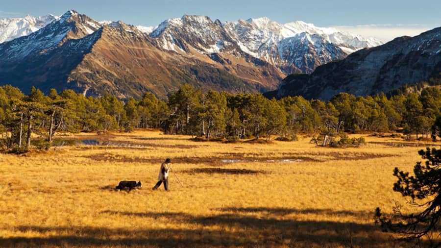 Moorlandschaft Chaltenbrunnen