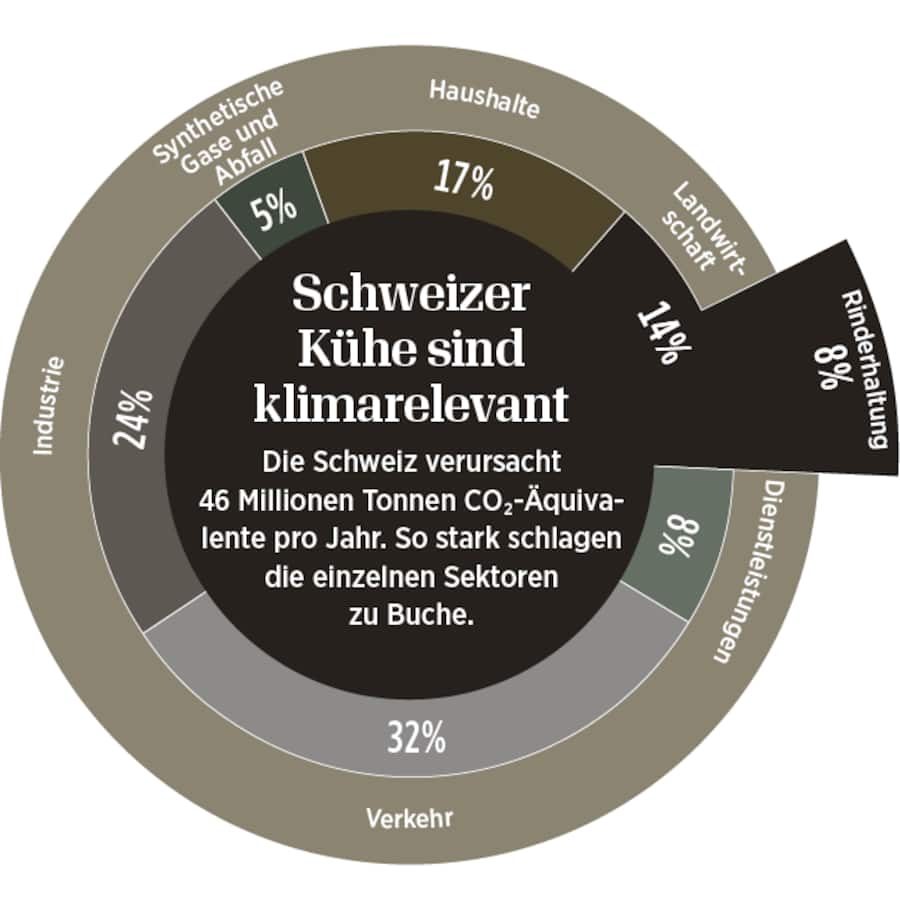 CO2-Ausstoss in der Schweiz – aufgeteilt in die verantwortlichen Sektoren