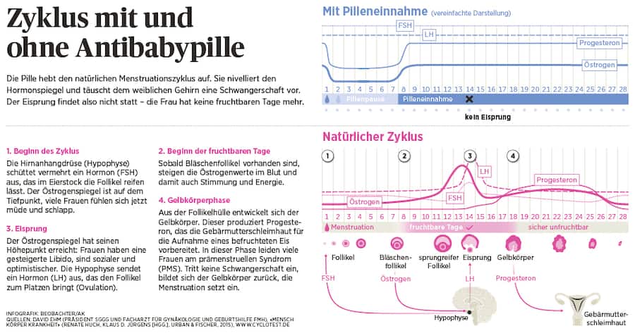 Zyklus mit und ohne Antibabypille