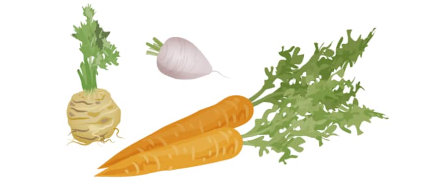 Fleisch-Alternativen aus Gemüse