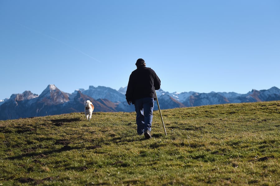 Agrartechniker Franz Josef Steiner auf der Alp Hummel SZ