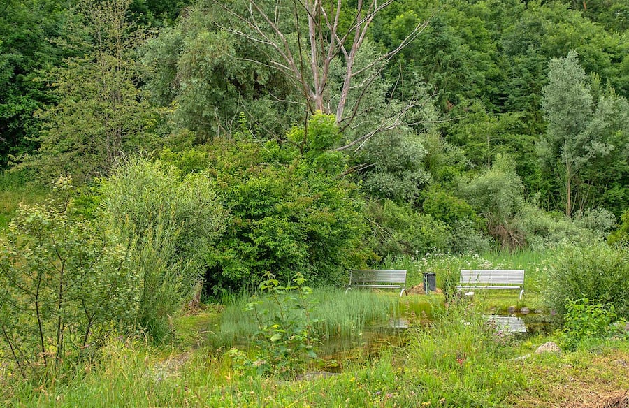 Bänkli am Froschteich bei Birmensdorf ZH