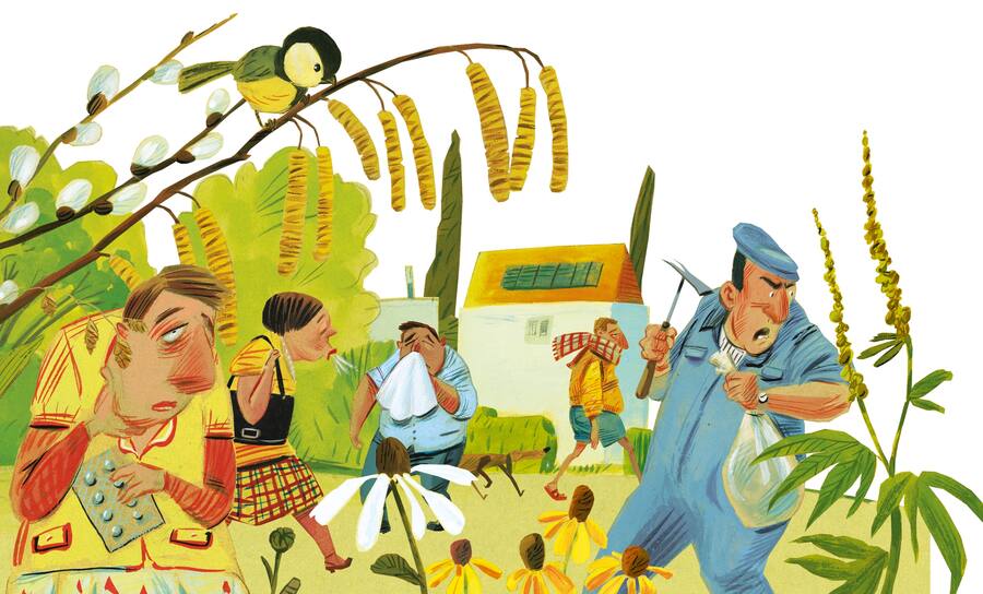 Illustrationen: Menschen mit Heuschnupfen