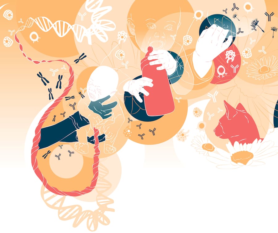 Grafische Darstellung, welche Einflüsse auf das Immunsystem des Kindes wirken.