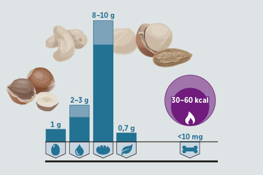 Grafische Darstellung der Inhaltsstoffe in Mandelmilch.