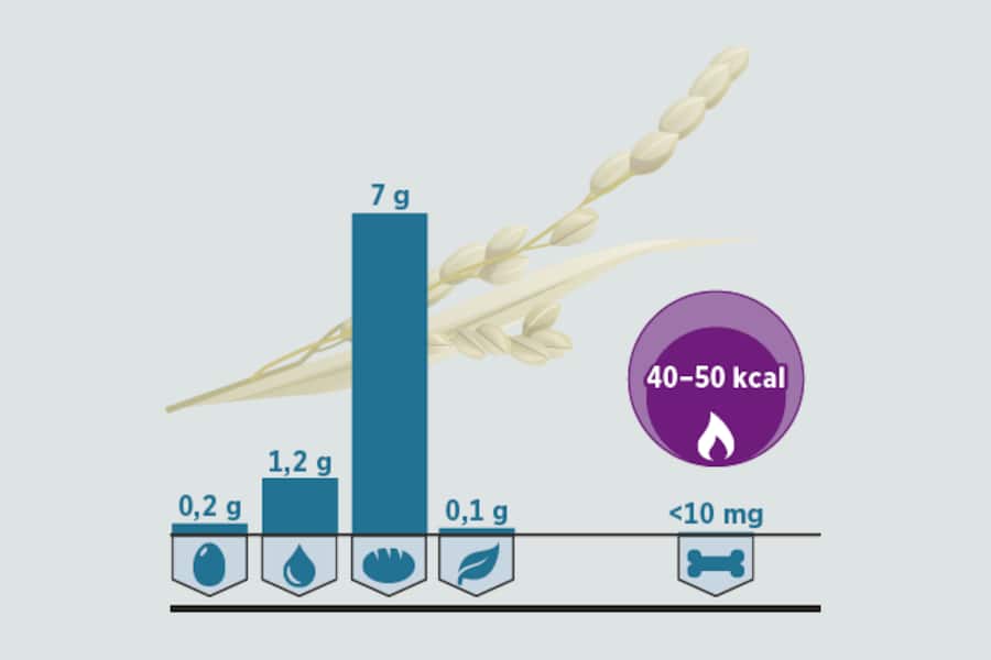 Grafische Darstellung der Inhaltsstoffe in Reismilch.