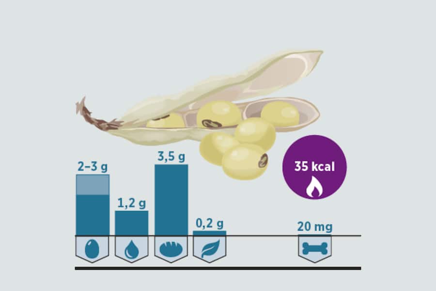 Grafische Darstellung der Inhaltsstoffe in Sojamilch.