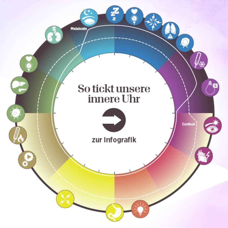 Die Kraft der inneren Uhr | Beobachter