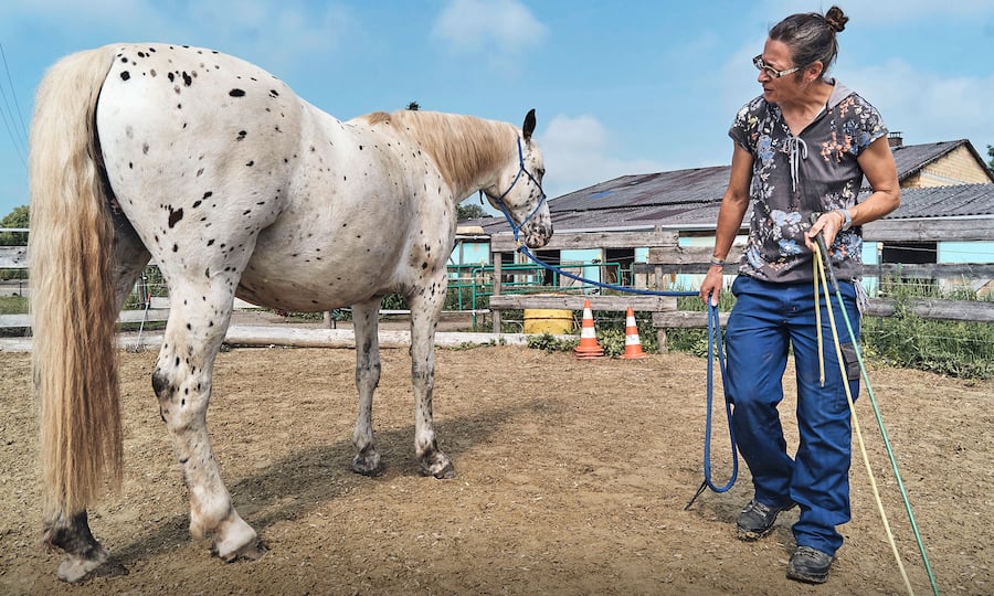 Ethnologin Irina Wenk mit ihrem Pferd Cayenne