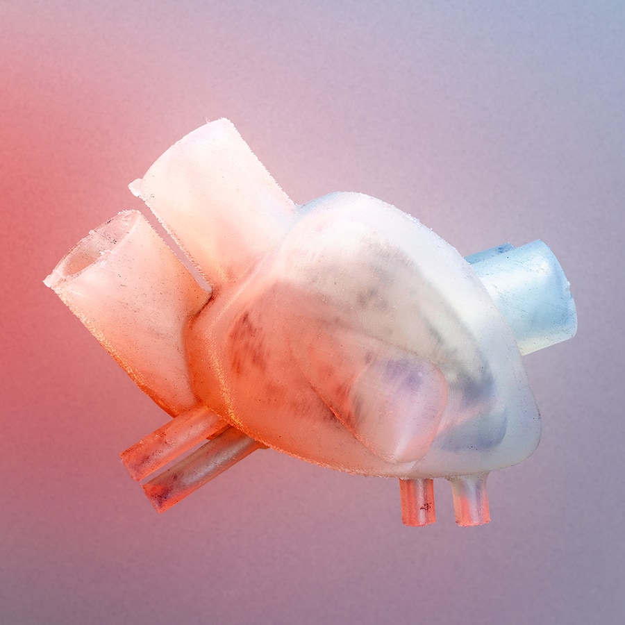 Aus Silikon: Der erste Herz-Prototyp der Zürcher Forscher