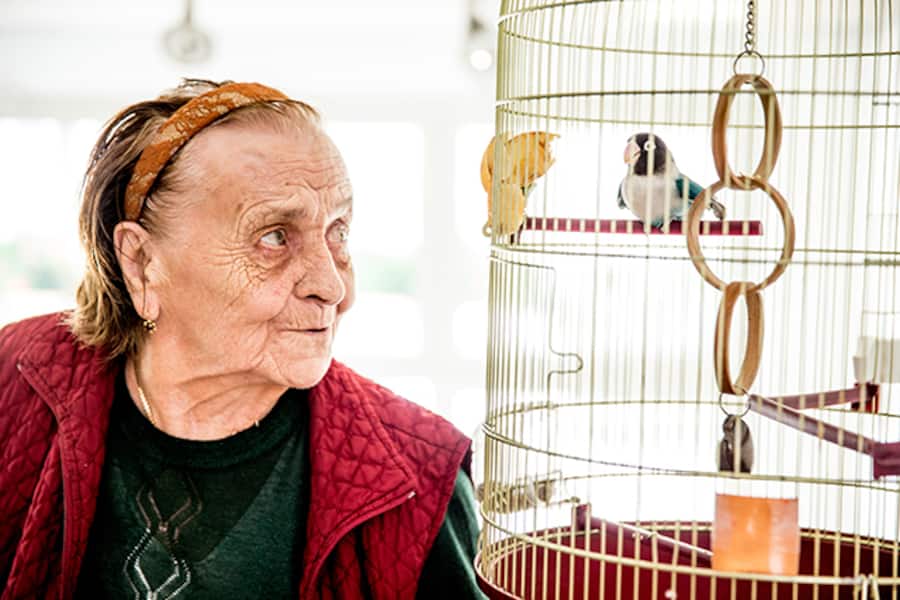 Tiere im Altersheim lassen die Bewohner oftmals aufblühen.
