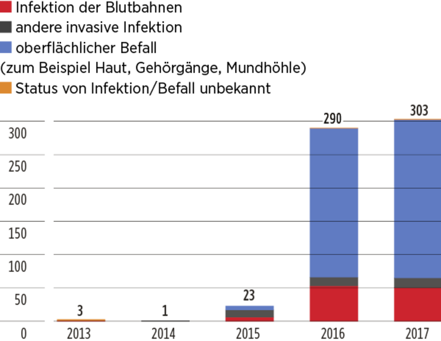 Candida auris-Fälle in Europa zwischen 2013 bis 2017.