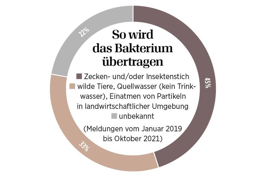Grafische Darstellung, wo sich Hasenpest-Erkrankte angesteckt haben.
