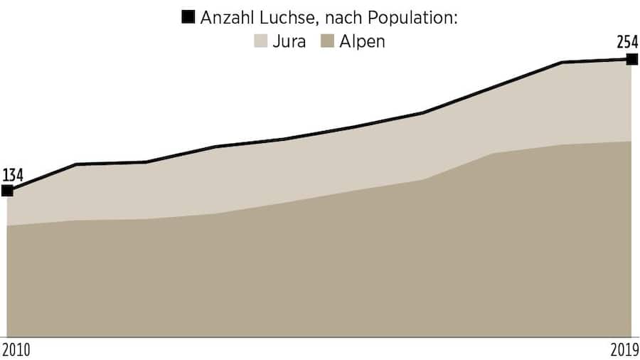 Grafische Darstellung der Entwicklung der Luchspopulation in der Schweiz.