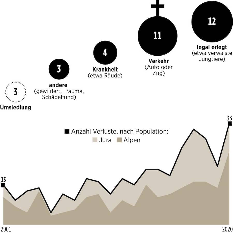 Grafische Darstellung der Verlustursachen der Luchse.
