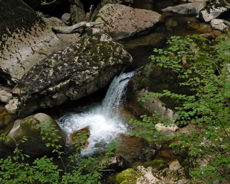Blick auf den Fluss Areuse