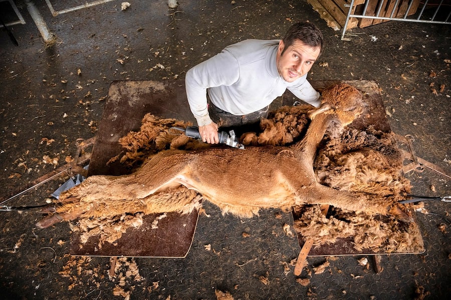 Andi Rüedi schert Magus