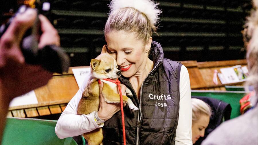 Crufts Dog Exhibitions, NEC Birmingham, Karin Baumann, Swisse Champion with Joya, interview with ABC TV, Heelwork to Music - International Freestyle