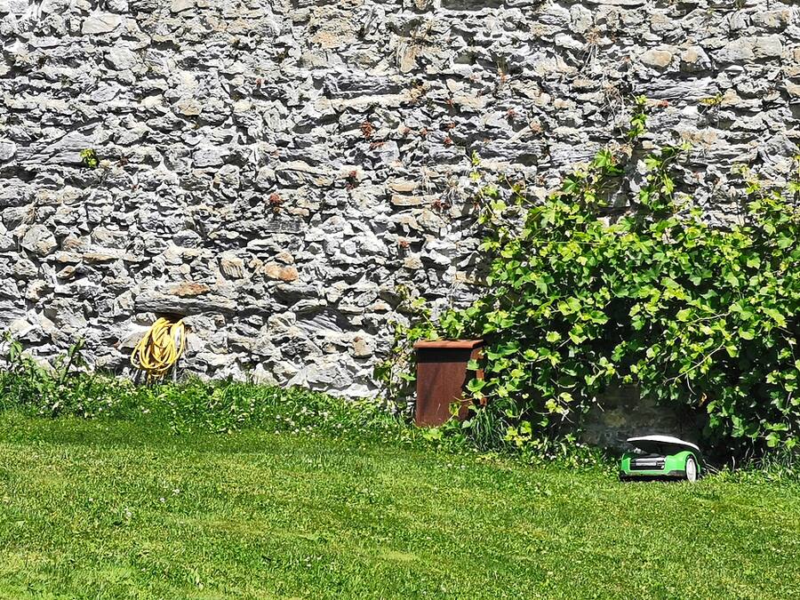 Ein Mähroboter auf einer Wiese