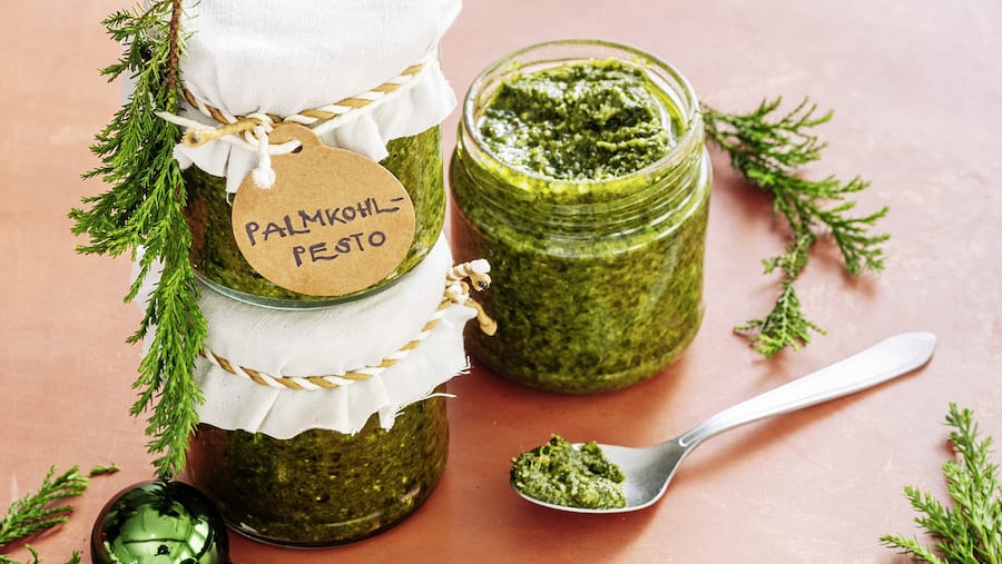 Palmkohlpesto in 3 Gläsern mit Löffel auf rosa Hintergrund: Rezept