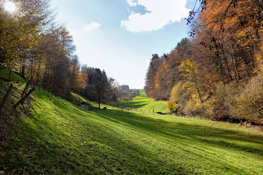 Chrutmüli bei Mühledorf SO: Wo das Rybifroueli in ärgster Not seine Kinder ertränkte.