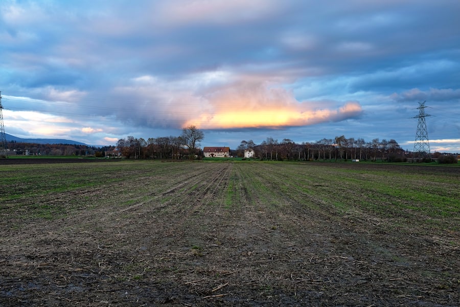 Der Nusshof, ein Aussenhof von Witzwil: Der Landstreicher wäre hier untergekommen.
