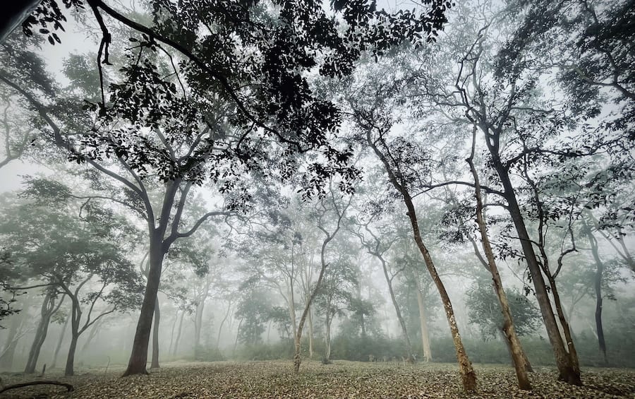 Idyllische Landschaft im Nationalpark
