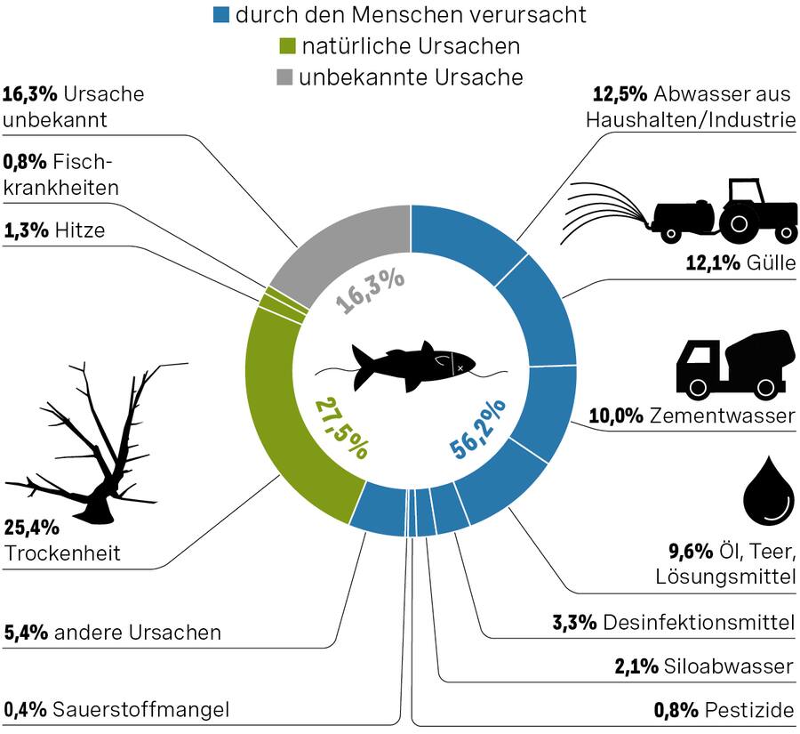 35+ Fischsterben Im Teich Durch Sauerstoffpumpe, Zunächst würde ich