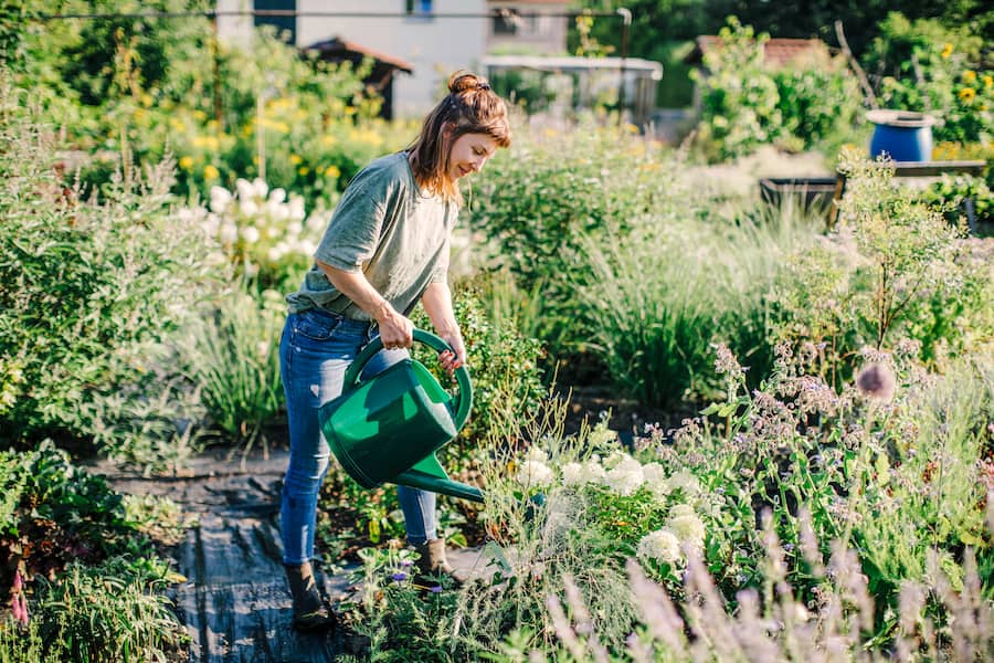 Lisa Diana Gretener vom Grünraum-Team verzichtet bei ihrer Arbeit auf mineralische Dünger und Pestizide. Welche Blume hat wann Saison? Das interessiert kaum jemanden. Die Slowflower-Bewegung will das ändern – mit saisonalen und regionalen Pflanzen.