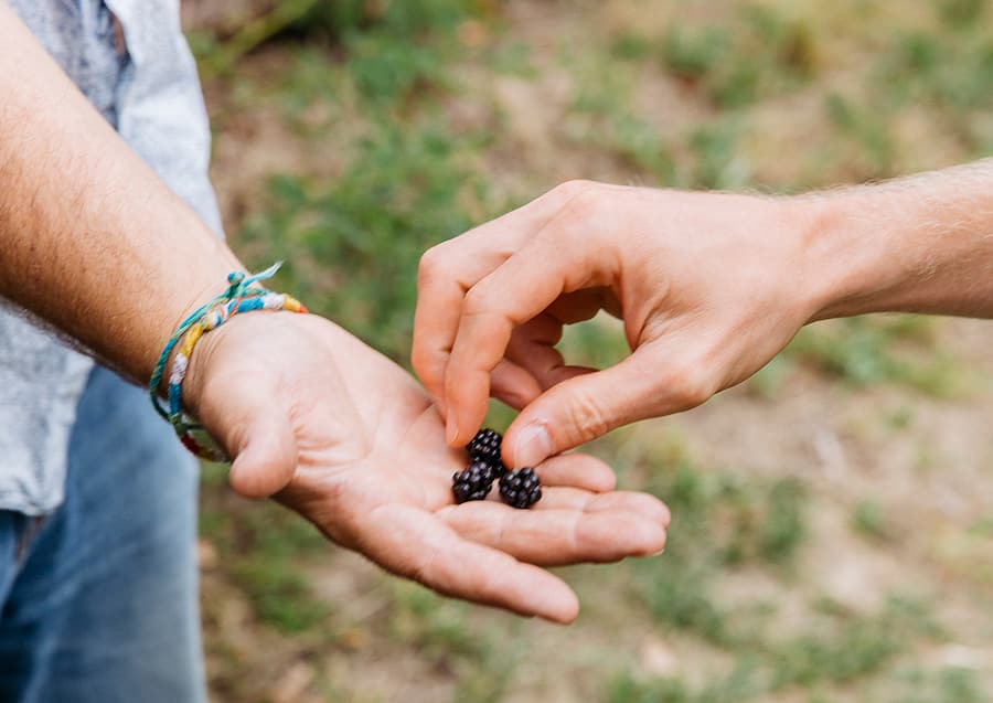 Im Wald könnte mehr als Holz produziert werden. Auch Kartoffeln, Rhabarber, Spinat und Salat würden dort wachsen. Zu Besuch in einem Waldgarten, wo genau das schon passiert.