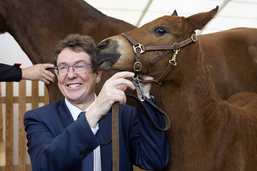 Bundesrat Albert Rösti posiert mit dem Fohlen Foxy.