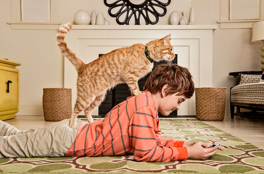 Kinder und Katzen können ein sehr gutes Team sein