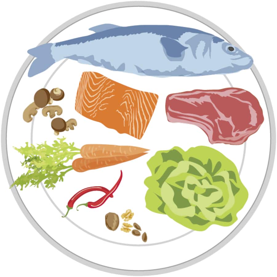 Illustration: Paleo-Diät