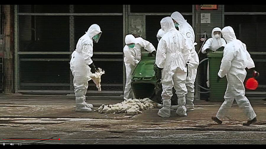 Screenshot aus der Netflix-Serie «Pandemie»