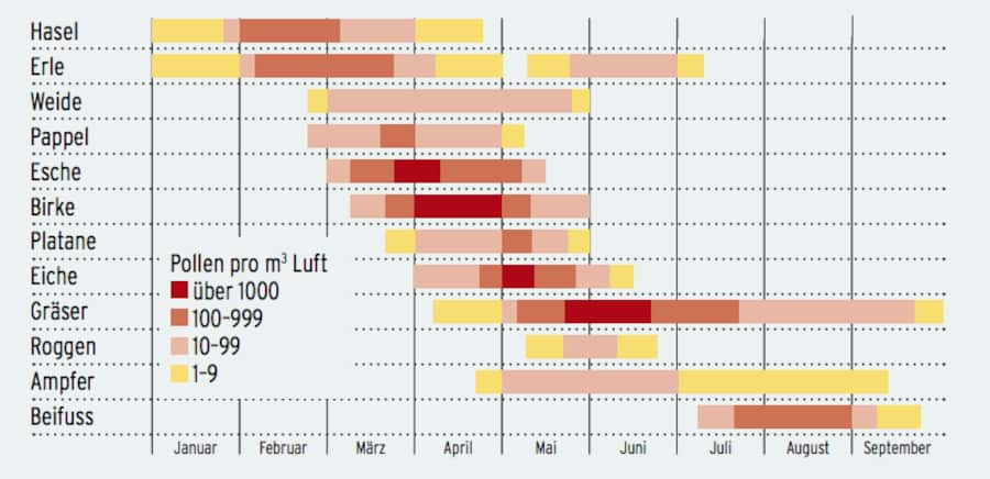 Die Grafik zeigt, wann welche Pollenarten in der Luft sind.
