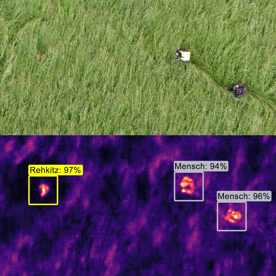Normales Drohnenbild (oben) und Wärmebild-Aufnahme mit künstlicher Intelligenz.