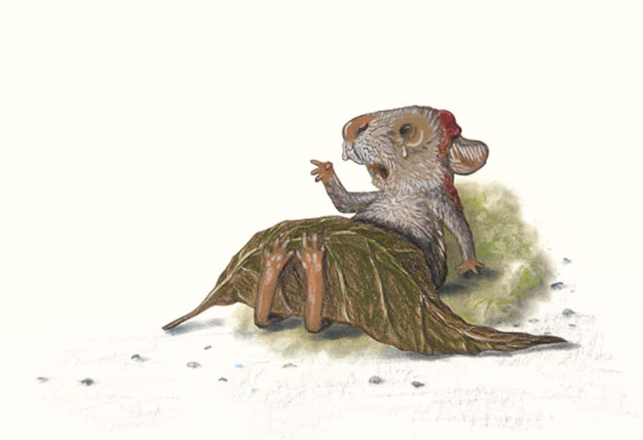 Bild von Rosa, die am Kopf «blutet».