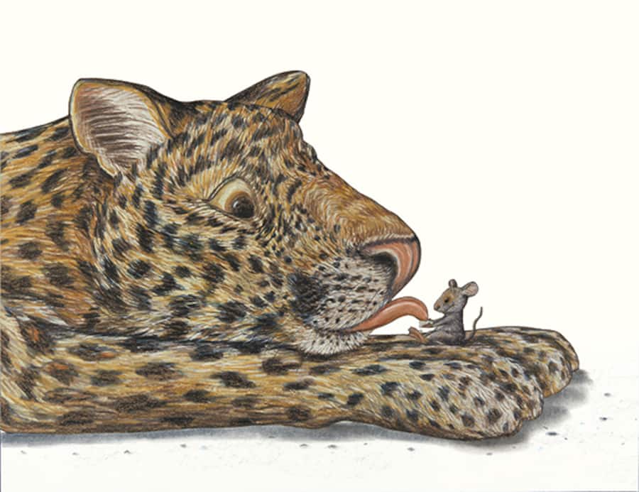 Illustration Rigo und Rosa II