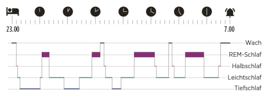 Grafische Darstellung, wann welche Schlafphase eintritt.