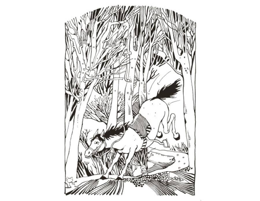 Ein Reiter stürzt in einem dichten Wald von seinem Pferd. Doch wo ist der Reiter hingefallen?