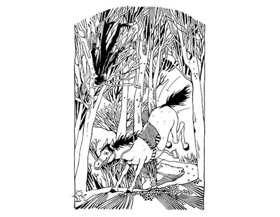 Im Bild ist der gestürzte Reiter zu sehen, der in Wahrheit oben links in den Bäumen hängen geblieben ist.