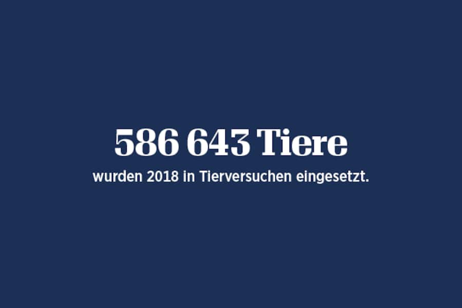 586'643 Tiere wurden 2018 in der Schweiz in Tierversuchen eingesetzt