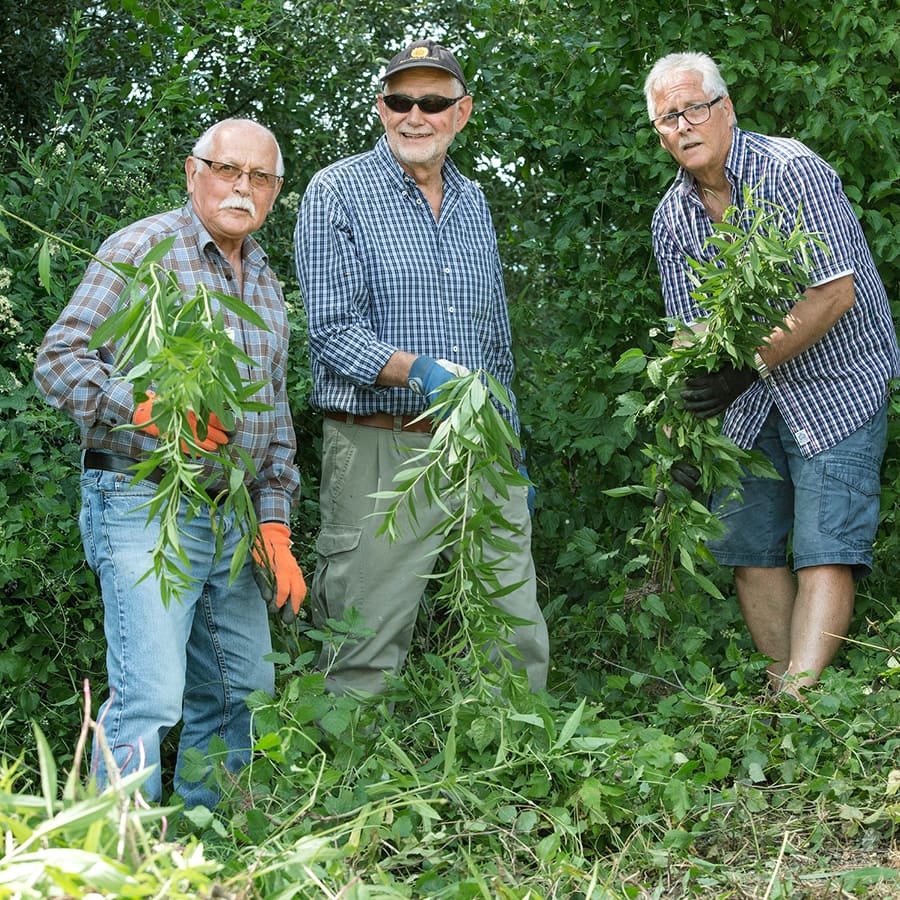 Drei Senioren helfen im Wald.