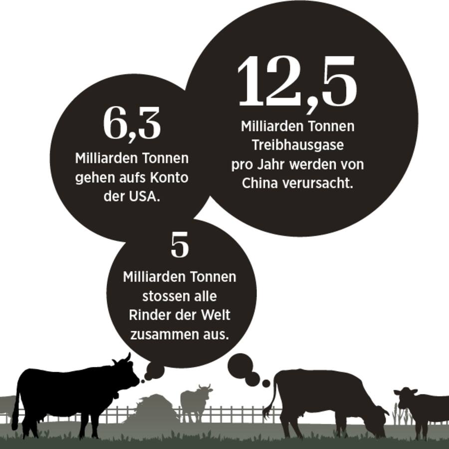 Infografik: So viel Treibhausgase stossen Kühe aus