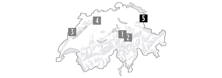 Wanderung: «Akte Grüninger» (Diepoldsau–Widnau)
