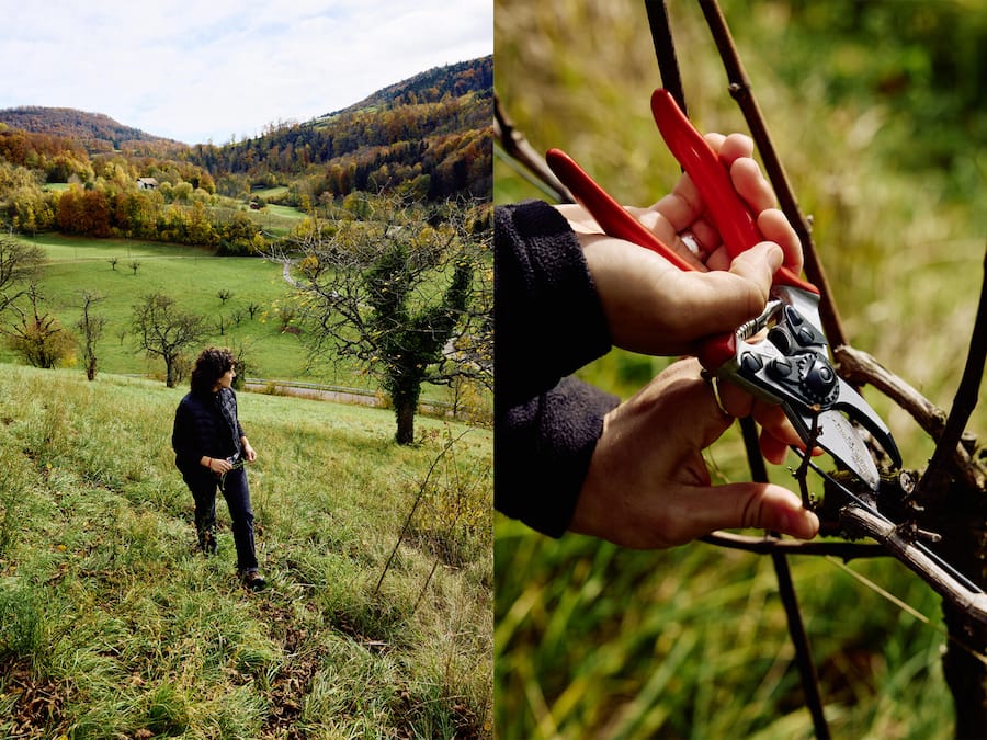 Beobachter - Die KI wälzt den Arbeitsmarkt um. Welche Jobs wird es in Zukunft noch geben? Welche Skills sind dann noch gefragt? Die Antwort ist uralt und fast schon frech einfach: das Handwerk. Merkt man das bereits auf dem Arbeitsmarkt und bei den …