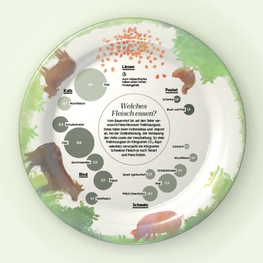 Welches Fleisch essen?